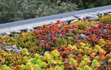 the cost of Sigingstone green roof installation