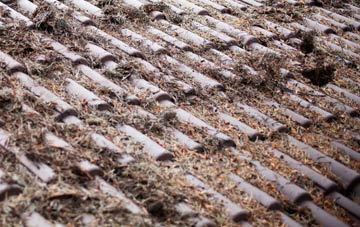 Sigingstone roof cleaning companies